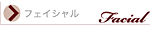 エステドアンジェ／フェイシャル